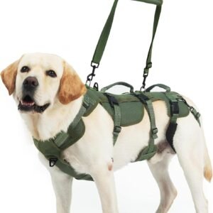 PUPTECK Dog Lift Harness for Medium Large Sized Dog, Rehabilitation Sling for Hind Leg Support, Multifunctional Mobility Assistance Harness for Old, Disabled, Joint Injuries, Paralysis Dogs, Green L