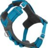 Kurgo Journey Air Dog Harness, Blue, Medium