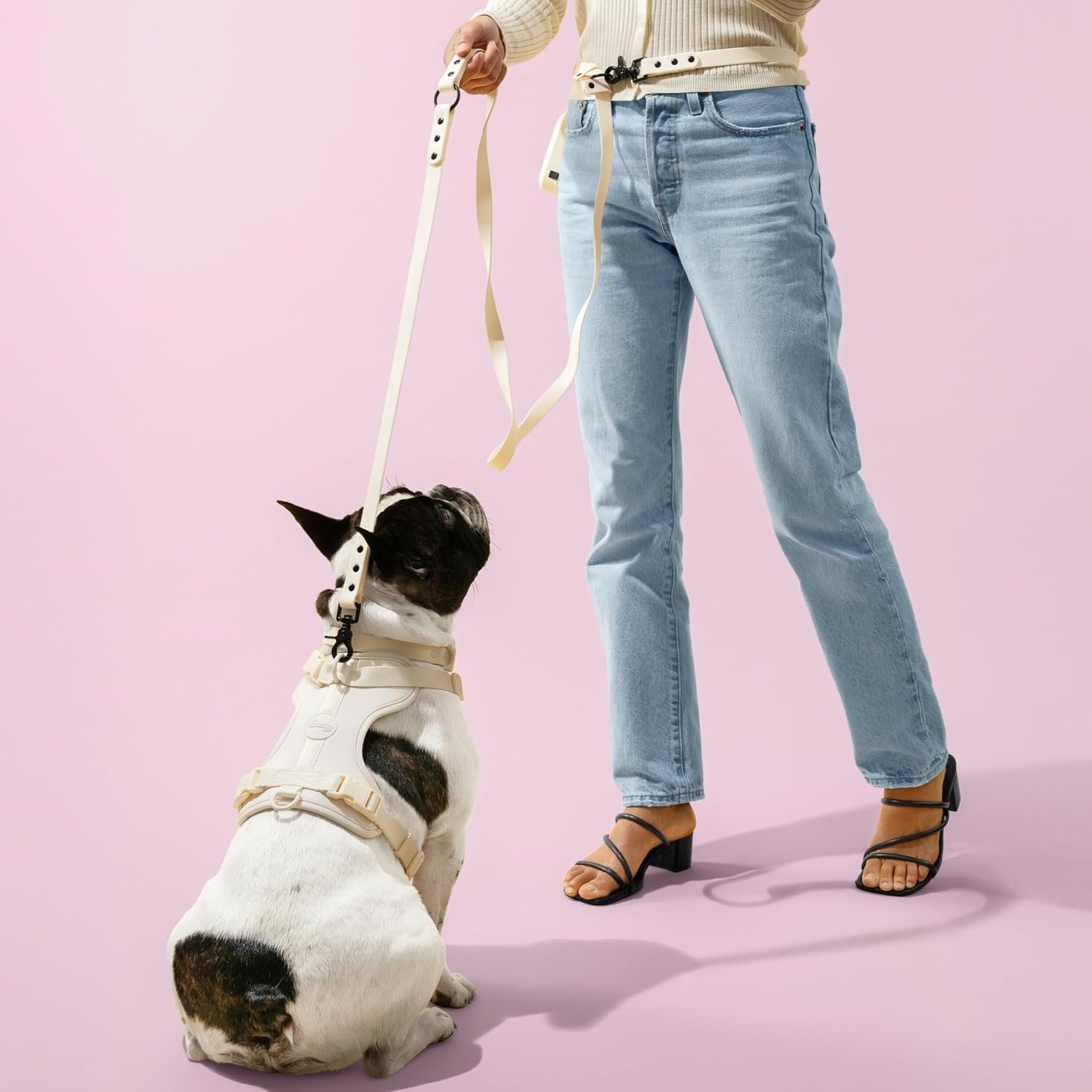 HNS1000L Arlo Extra Small Adjustable Soft Padded No Pull Pet Harness with 3 Buckles and 3 Leash Clips, Bailey - Image 2