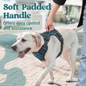 Alternative view of rabbitgoo Large Dog Harness, Easy Wear with 3 Buckles and Lift Handle