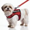 FAYOGOO Service Dog Vest for Small Dogs, ESA Harness with Leash & Patches