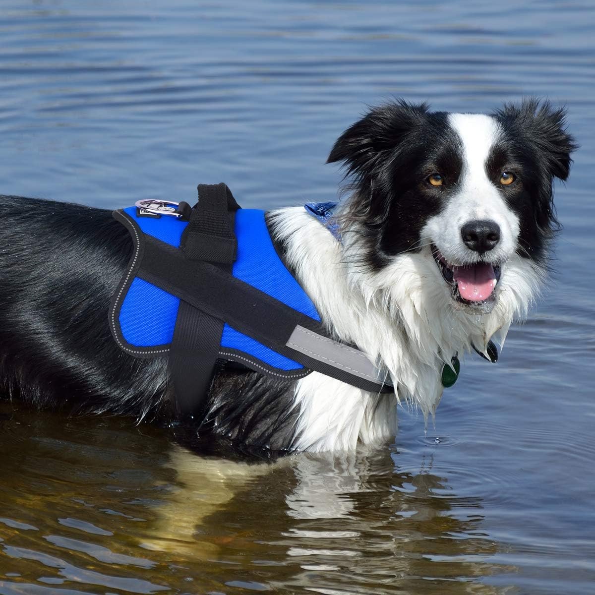 Bolux Dog Harness, No-Pull Reflective Dog Vest, Breathable Adjustable Pet Harness with Handle for Outdoor Walking - No More Pulling, Tugging or Choking (Blue, S) - Image 6