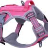 Tactical Dog Harness for Small Dogs No Pull, Famous TIK Tok No Pull Puppy Harness, Fit Smart Reflective Pet Walking Harness for Training, Adjustable Dog Vest Harness with Handle Pink S