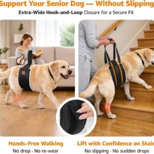Alternative view of LOOBANI Dog Lift Harness Rear Leg Support for Large Dogs Secure Belly Wrap