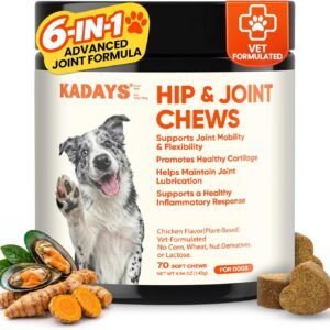 Dog Joint Supplement for Dogs 70ct, Glucosamine Chondroitin for All Dogs