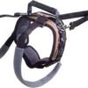 PetSafe CareLift Rear Support Harness - Lifting Aid with Handle and Shoulder Strap - Fits Waist Measuring 19-31 inches, Dog Weight 35lb-70lb, Medium, Black