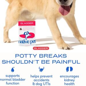 Alternative view of Native Pet Dog UTI Treatment - Cranberry Supplement for Dogs Bladder Control & Kidney Support - Prevent Urinary Tract Infection and Urinary Incontinence - Made with Real Cranberry Extract - 60 Chews