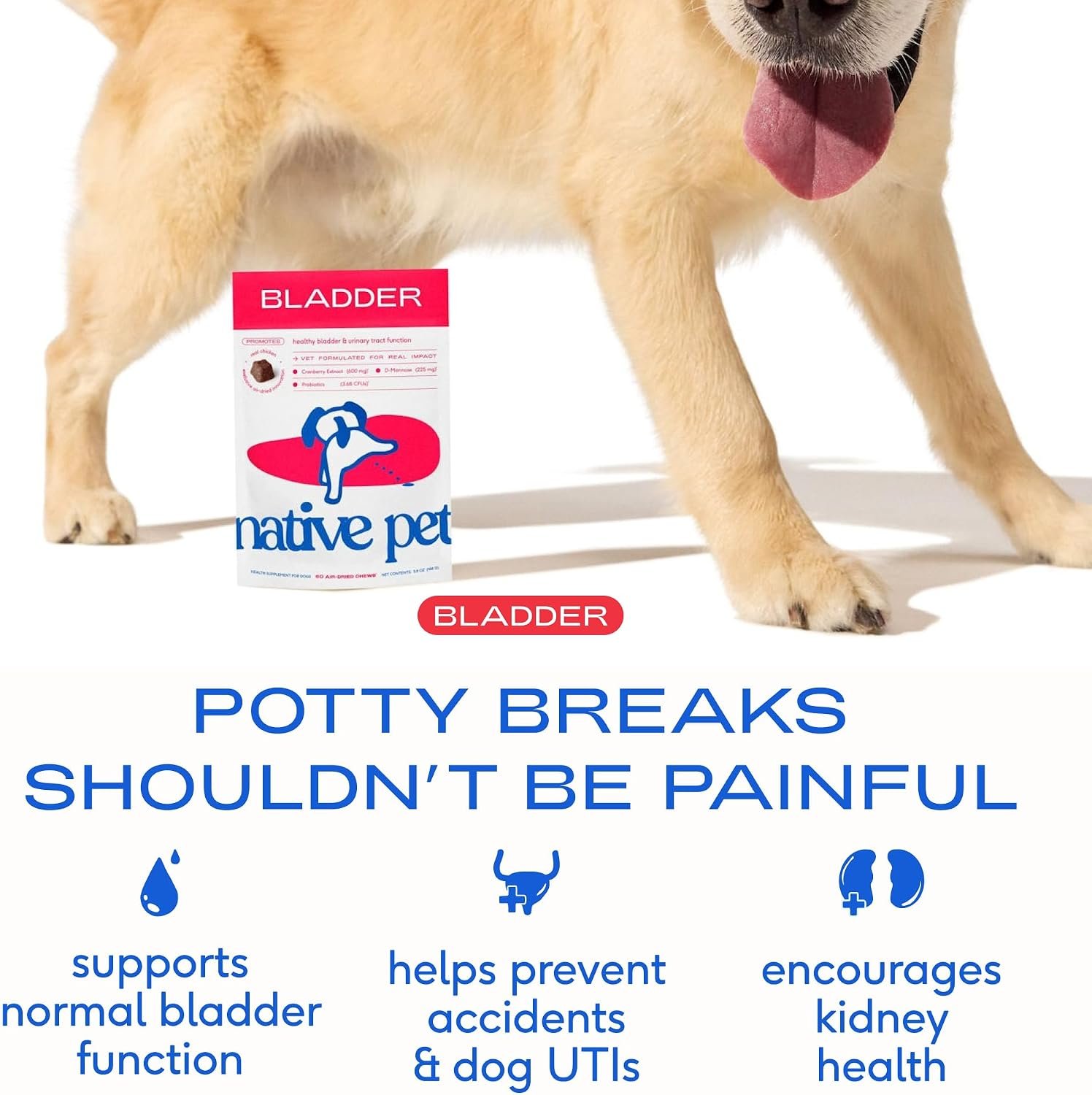 Native Pet Dog UTI Treatment - Cranberry Supplement for Dogs Bladder Control & Kidney Support - Prevent Urinary Tract Infection and Urinary Incontinence - Made with Real Cranberry Extract - 60 Chews - Image 2