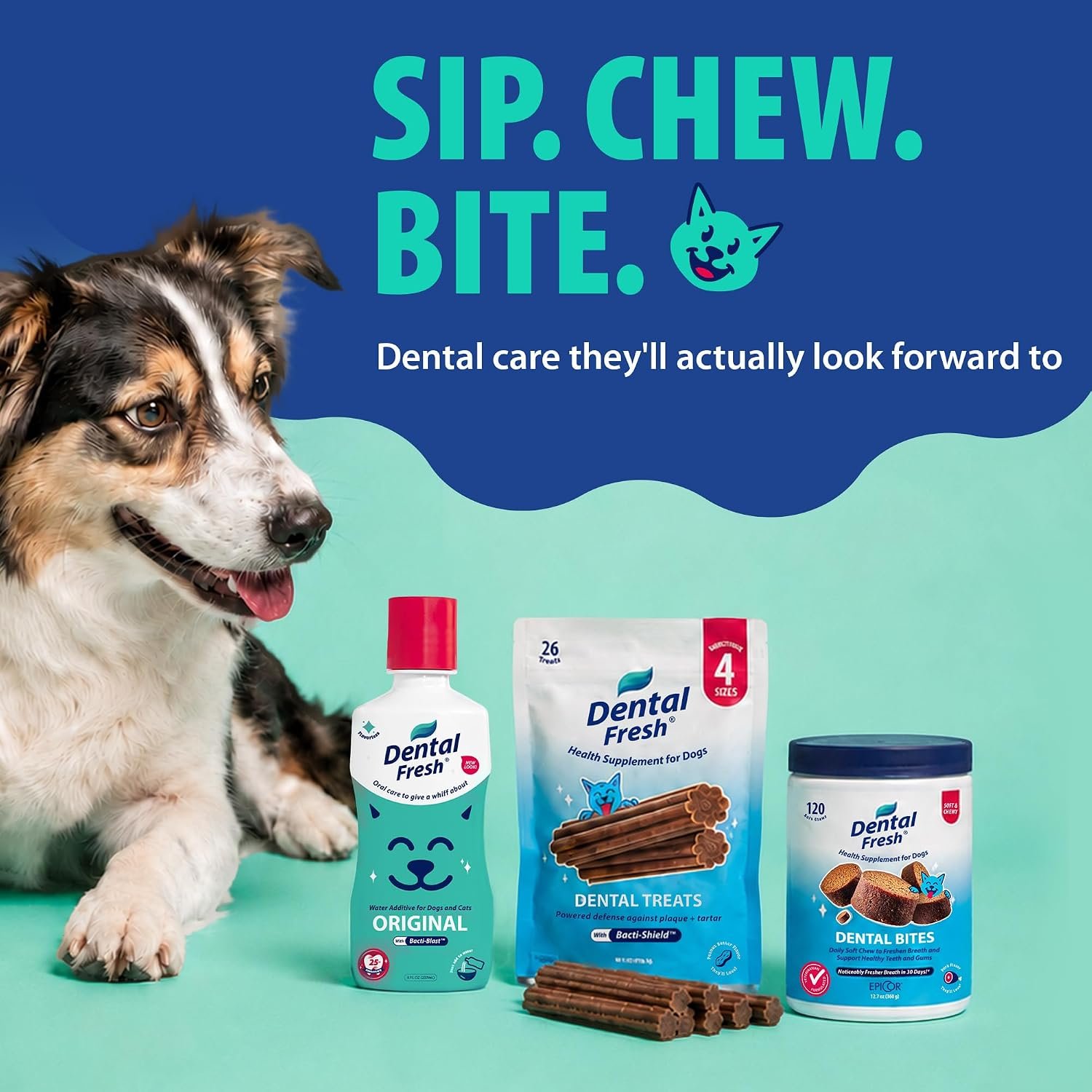 Dental Fresh Water Additive Flavorless Dental Care for Dogs & Cats 8 fl oz - Image 9