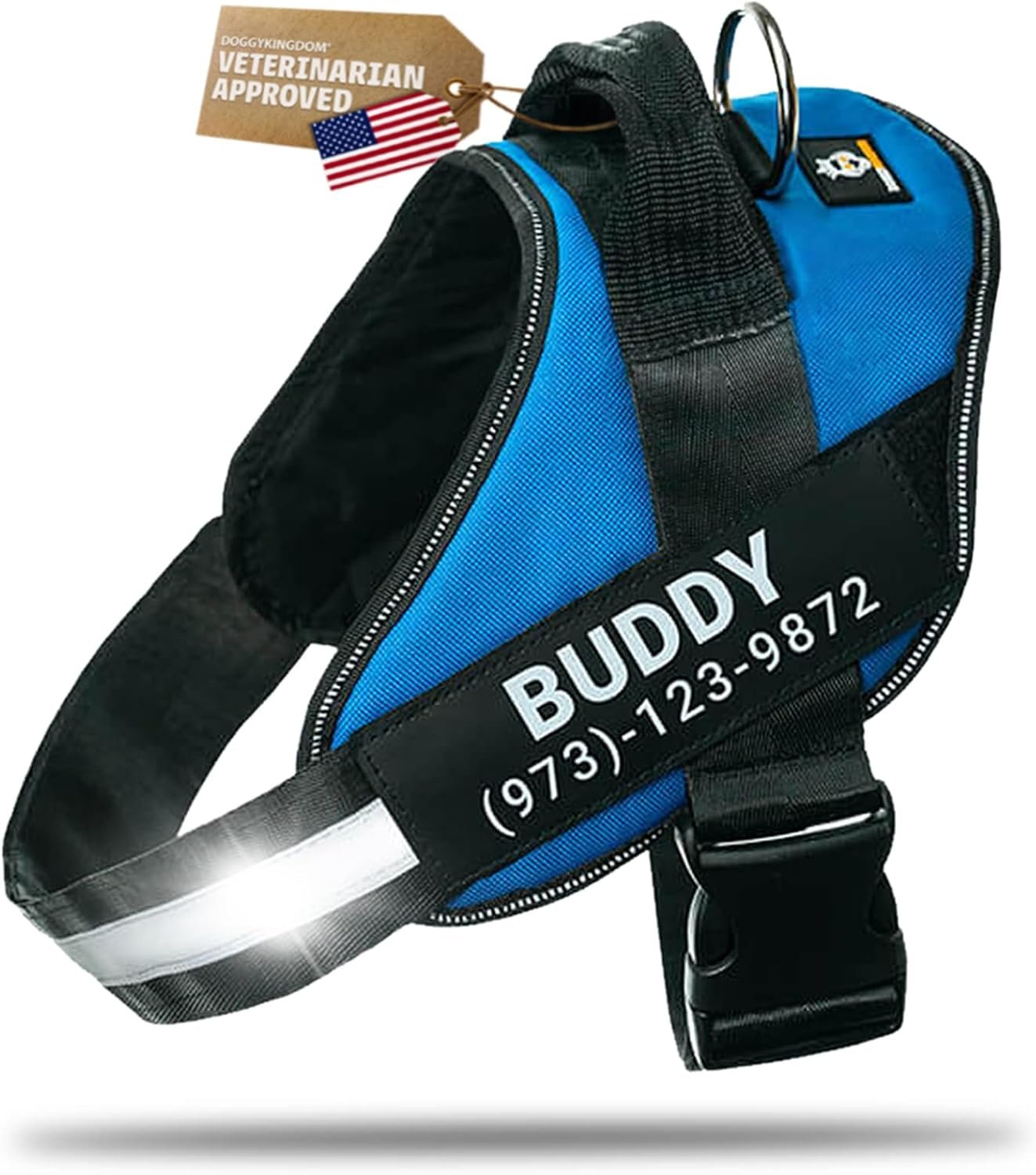Personalized Dog Harness with Custom Name Patches, Adjustable Reflective No Choke Dog Vest with Handle for Medium Sized Dog, Blue, M