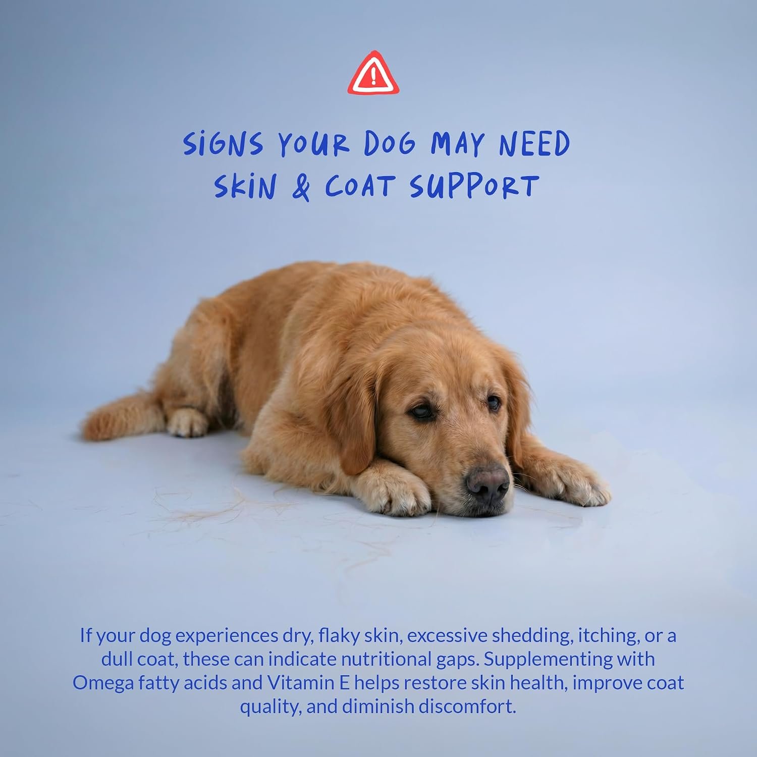 Dog Omega 3 Fish Oil Skin and Coat Supplement for Dry Skin & Allergy Relief - Image 4