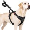 Taglory No Pull Dog Harness for Large Dogs, Bungee Extension, Black, L
