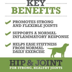 Alternative view of Hip & Joint Supplement for Dogs - Plasma Powered Soft Chews for Joint Health & Mobility – Fast-Acting with Collagen & Natural Ingredients for Dogs of All Breeds – 60 Chews