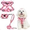 PUPTECK Dog Harness and Leash Set Small Sized, Step in No Pull Adjustable Puppy Cat Harness Reflective Pet Vest