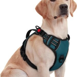 rabbitgoo Large Dog Harness, Easy Wear with 3 Buckles and Lift Handle
