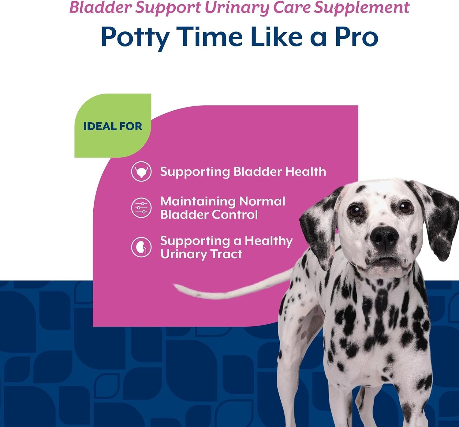 NaturVet Bladder Support Plus Cranberry for Dogs, 60 ct Soft Chews - Image 4