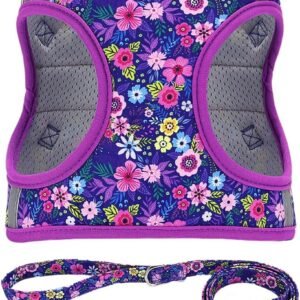 Step in Dog Harness Leash Set- All Weather Reflective No-Pull Floral Pattern Padded Mesh Vest Harness for Cats Puppy Extra-Small Small Medium Large Dogs - Dark Flower - XS