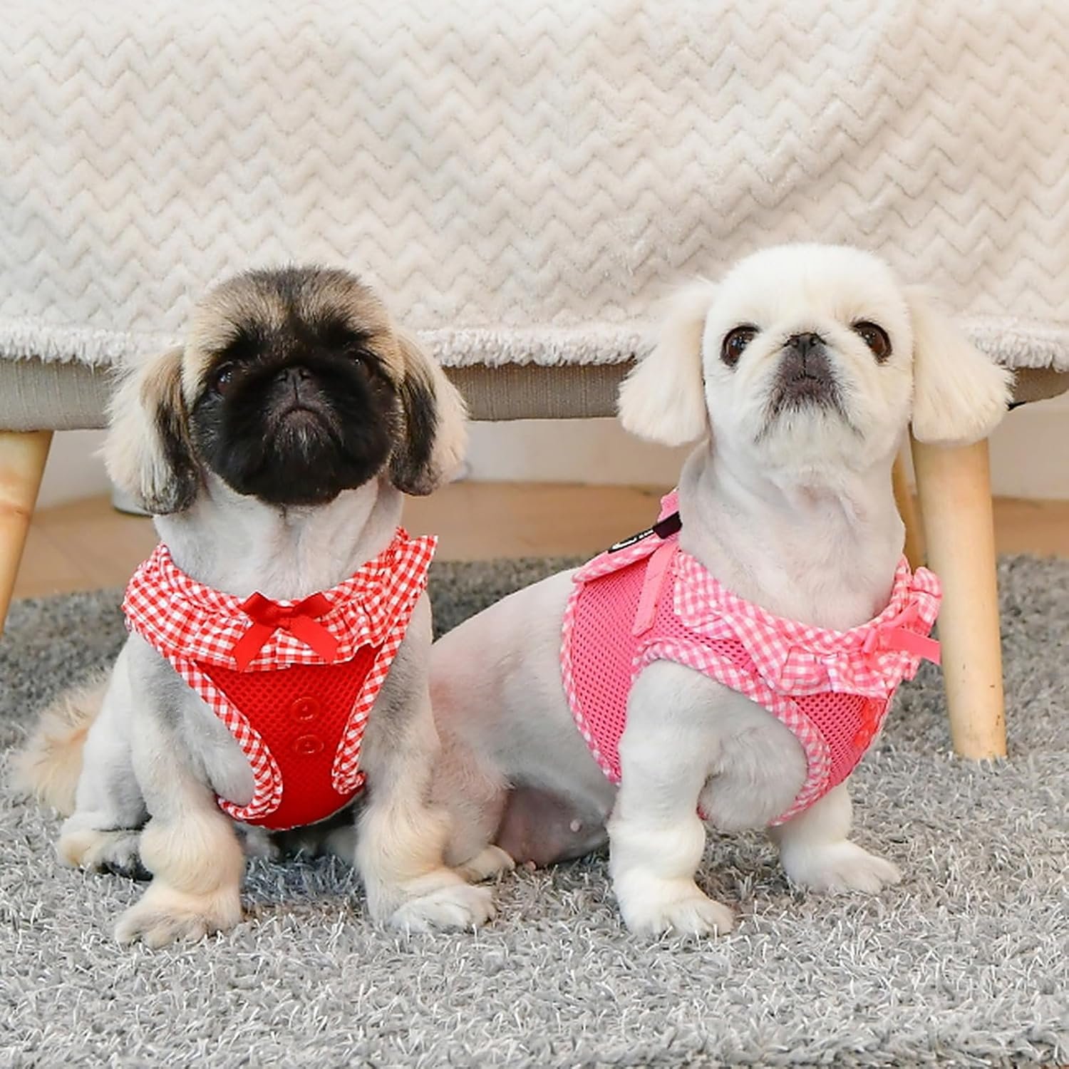 Puppia Vivien Vest Dog Harness Step-in All Season Mesh Cute No Pull No Choke Walking Training for Small Dog, Pink, Medium - Image 2
