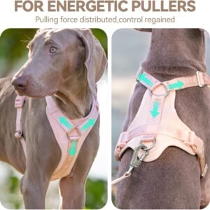 Alternative view of Sunraymascota Dog Harness, Soft Lycra Puppy Vest for Medium Sized Dogs