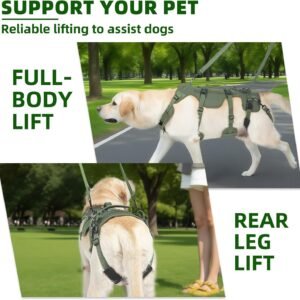 Alternative view of PUPTECK Dog Lift Harness for Medium Large Sized Dog, Rehabilitation Sling for Hind Leg Support, Multifunctional Mobility Assistance Harness for Old, Disabled, Joint Injuries, Paralysis Dogs, Green L