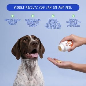 Alternative view of Turmeric for Dogs - Natural Anti-Inflammatory & Pain Relief, 120 ct