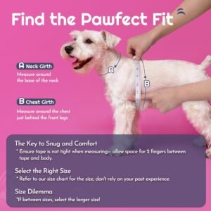 Alternative view of Eagloo Small Dog Harness and Leash Set, Step in Small Sized Puppy Pet Vest