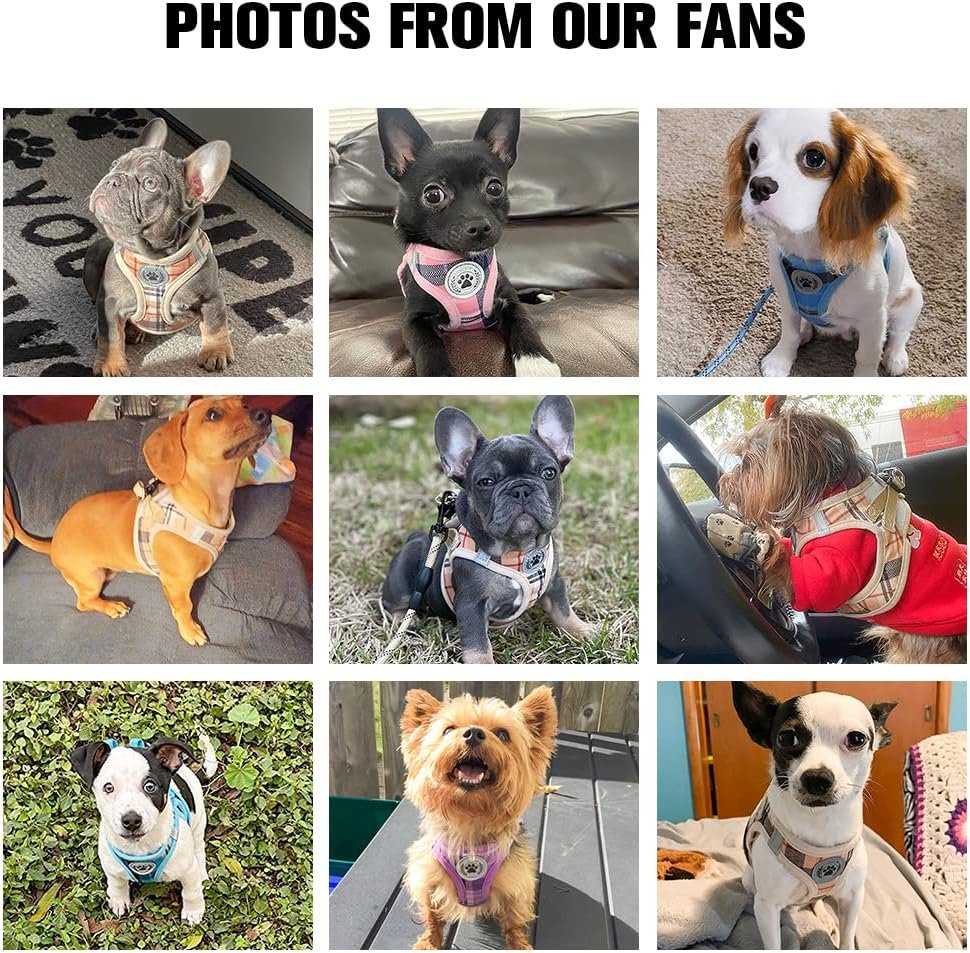 Small Dog Harness and Leash Set, No Pull Puppy Pet Vest- Beige, S - Image 6