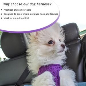 Alternative view of Comfort fit Step-in Dog & Puppy Harness - Comfortable All Weather Dog Vest Harness: Adjustable, Soft Padded, Easy to Put-on for Small, Medium-Sized Dogs.