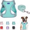 Step in Mesh Dog Harness and Leash Set Breathable Air Mesh Harness