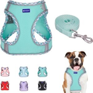 Step in Mesh Dog Harness and Leash Set Breathable Air Mesh Harness