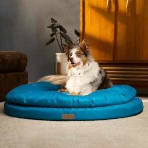 ClevaHome Orthopedic Dog Bed for Large Dogs, 36 inches Dual Layer Water Repellent Round Pet Bed with Washable Cover Nonslip Bottom（Mosaic Blue）