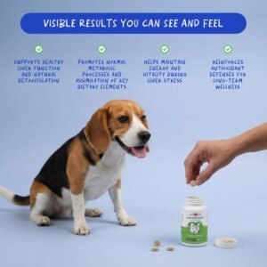 Alternative view of Milk Thistle for Dogs Liver Support, Kidney Health & Detox Support, 120ct