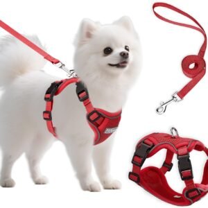 Small Dog Harness and Leash Set, Adjustable Small Sized Pet Vest