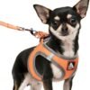 Dog Harness Medium Sized Dogs, Puppy Harness and Leash Set for Training