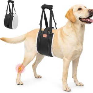 LOOBANI Dog Lift Harness Rear Leg Support for Large Dogs Secure Belly Wrap