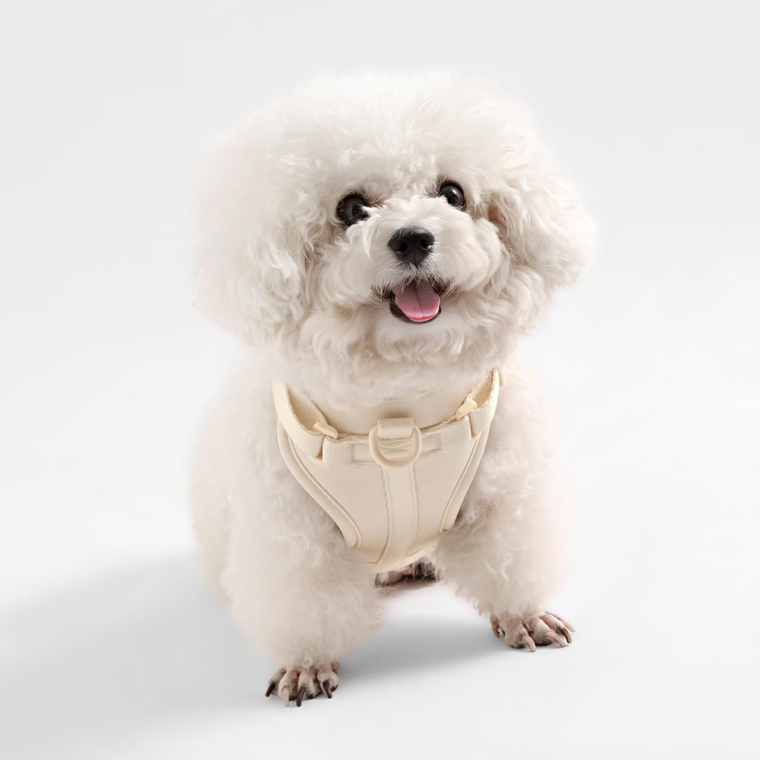 HNS1000L Arlo Extra Small Adjustable Soft Padded No Pull Pet Harness with 3 Buckles and 3 Leash Clips, Bailey - Image 5