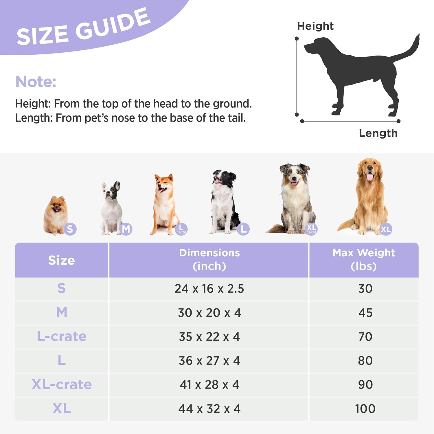 LE SURE Cute Aesthetic XL Dog Bed, Jacquard Thick Pet Pillow,44x32 - Image 5