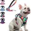 No Pull Dog Harness and Leash Set, Step in Puppy Pet Vest, Small