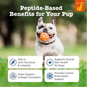 Alternative view of Zesty Paws Dog Collagen Chews - Dog Joint Supplement, Chicken, 90 Ct