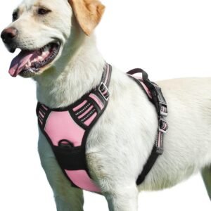 Eagloo Dog Harness for Large Dogs, No Pull Pet Vest with 2 Leash Clips