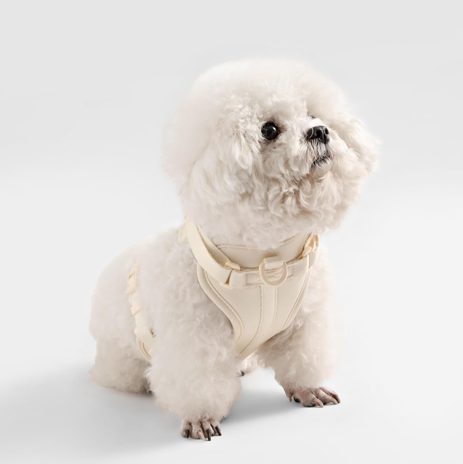 HNS1000L Arlo Extra Small Adjustable Soft Padded No Pull Pet Harness with 3 Buckles and 3 Leash Clips, Bailey - Image 6