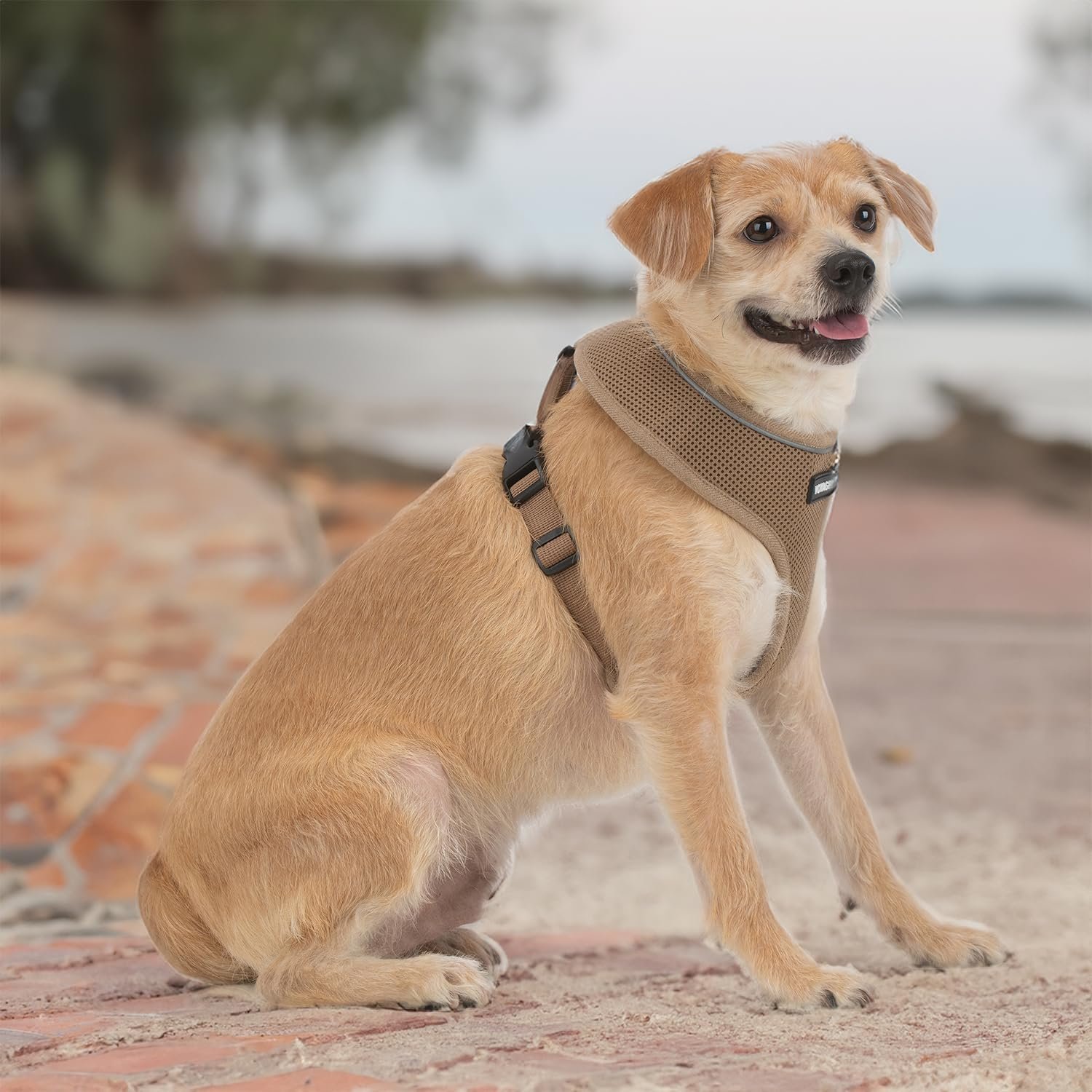 Best Pet Supplies Voyager Aerolite Over the Head Dog Harness, No Pull Breathable Air Mesh Vest, Quick Dry with Reflective Stitching, Adjustable Escape Resistant Harness - Beige, Large - Image 6