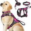 Pet Harness Collar and Leash Set, All-in-one Reflective Dog Harness No Pull with Adjustable Buckles for Puppies, Small, Medium, Large, and Extra-Large Dogs (Large, Rosy)