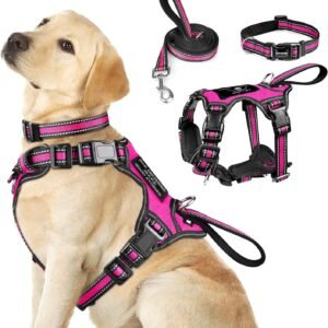 Pet Harness Collar and Leash Set, All-in-one Reflective Dog Harness No Pull with Adjustable Buckles for Puppies, Small, Medium, Large, and Extra-Large Dogs (Large, Rosy)