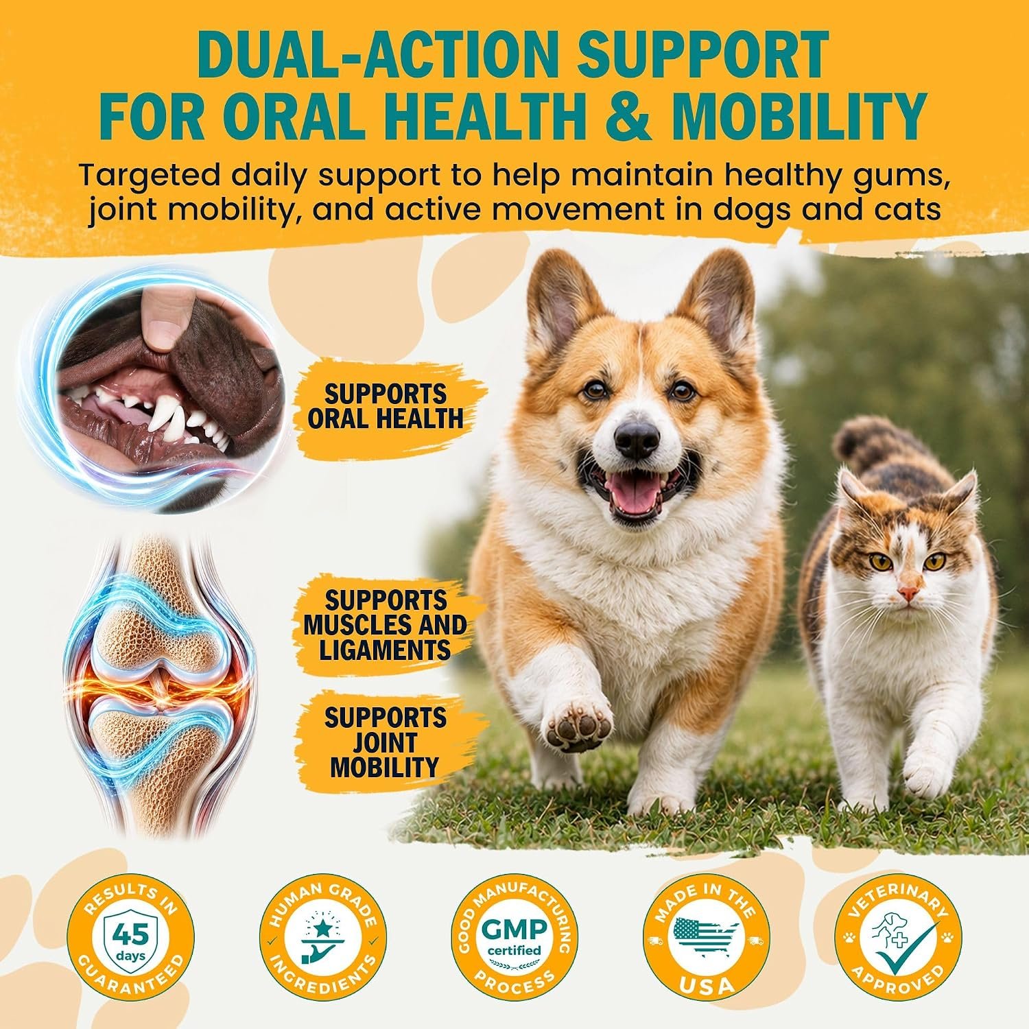 1-TDC Dual Action Joint & Gum Support Soft Gels for Dogs & Cats - 30 ct - Image 5