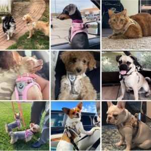 Alternative view of Dog Harness and Leash Set for Small Medium Dogs, Step in No Pull Soft Mesh Dog Harness Comfort Padded Pet Vest, Adjustable Reflective Easy Walking Puppy Cats Harnesses Training, Plaid Beige M