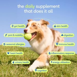 Alternative view of Native Pet The Daily Dog Vitamins and Supplements - Multivitamin for Dogs