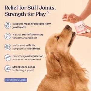 Alternative view of Pawfy Hip & Joint Supplement for Dogs - Glucosamine Chondroitin & MSM