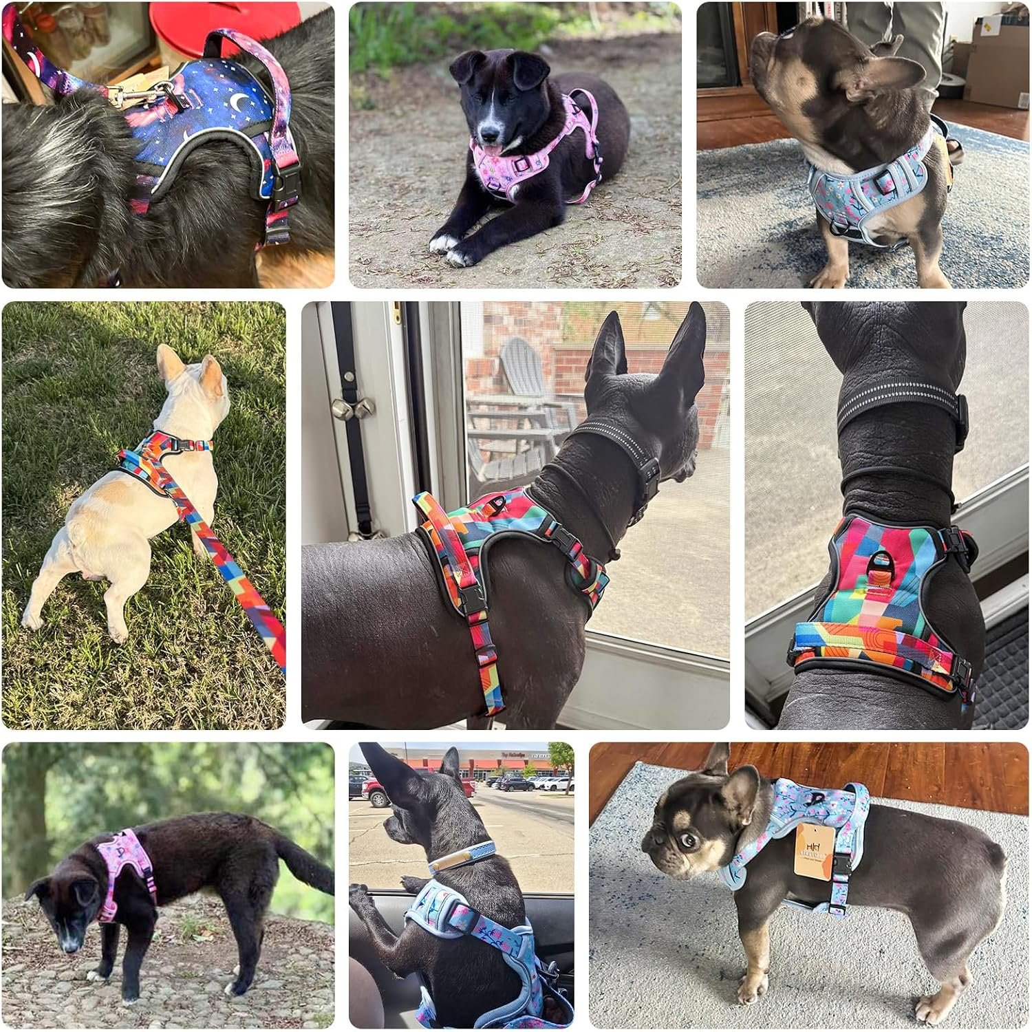 No Pull Dog Harness and Leash Set, Step in Puppy Pet Vest, Small - Image 2