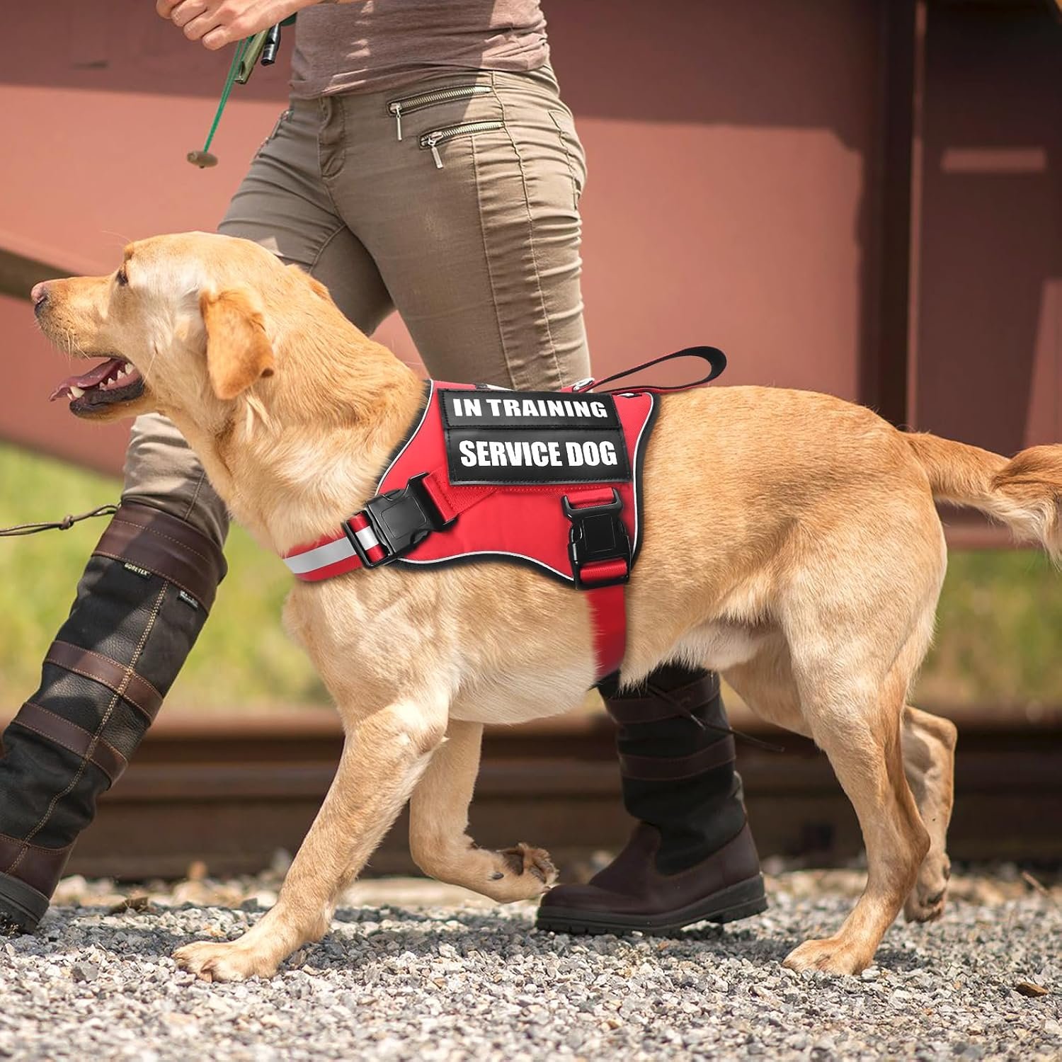 Service Dog Vest Harness and Leash Set+10 Patches,No Pull&Adjustable Reflective Dog Harness with Soft Padded Handle for Training/Everyday,Fit Small/Medium/Large/Extra-Large Dogs (Red S) - Image 7